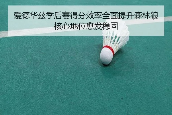 爱德华兹季后赛得分效率全面提升森林狼核心地位愈发稳固